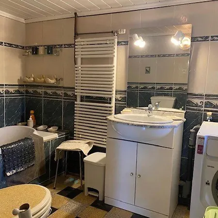 Maison Jardin Clos Avec Bbq, 2 Appts Equipes, Proche Cures Et Commerces - Fr-1-703-175 Holiday home Amelie-les-Bains-Palalda